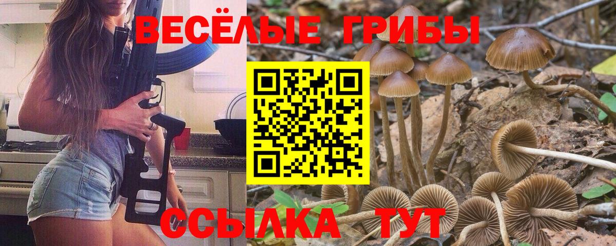 Галлюциногенные грибы мицелий Родники